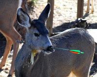 473851-1234448543-main