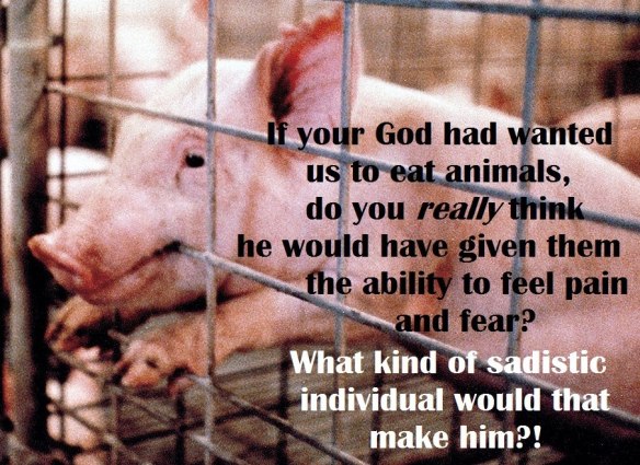 561599_4740870687337_1697822471_n