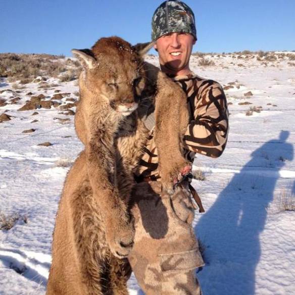 cougar kill