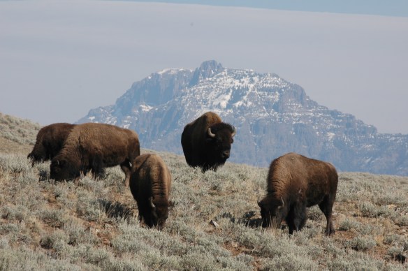 Photo copyright Jim Robertson