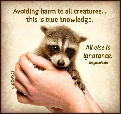 1151026_167119133473568_1369992890_n