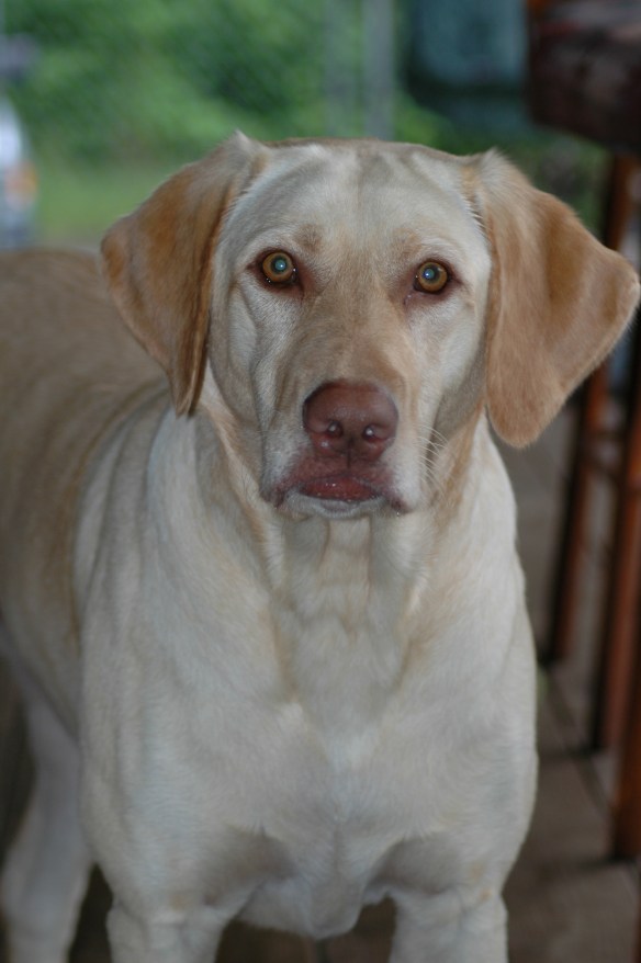 Text and Photography ©Jim Robertson, 2013. All Rights Reserved