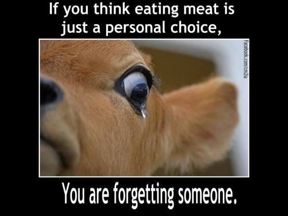 1175354_593063067417723_1797546469_n