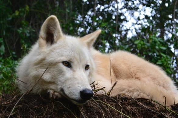 544956_10151635949074363_2061395650_n