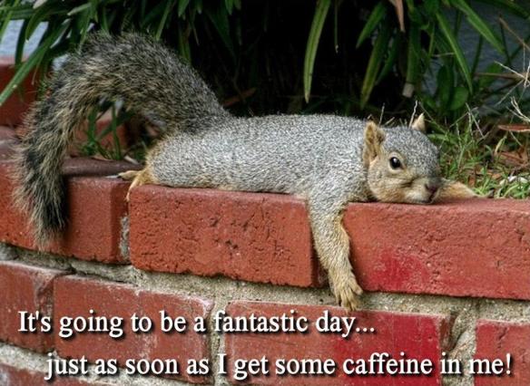 549634_357726694296918_1771319815_n