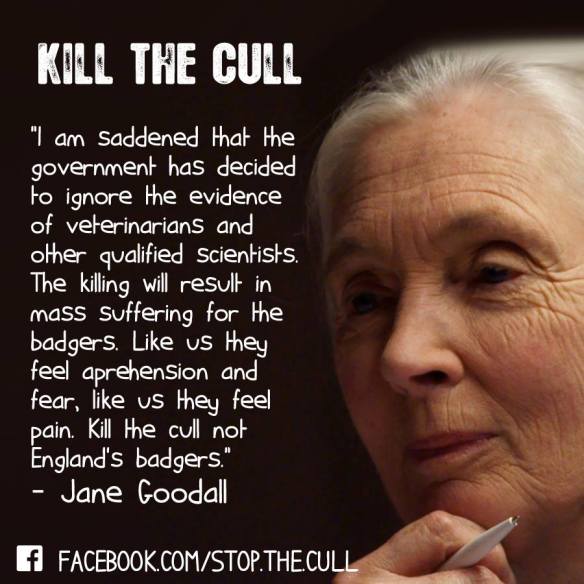 998935_409949672444073_729522243_n