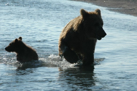 photo copyright Jim Robertson