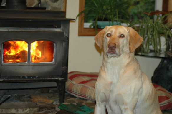 Text and Photography ©Jim Robertson, 2013. All Rights Reserved