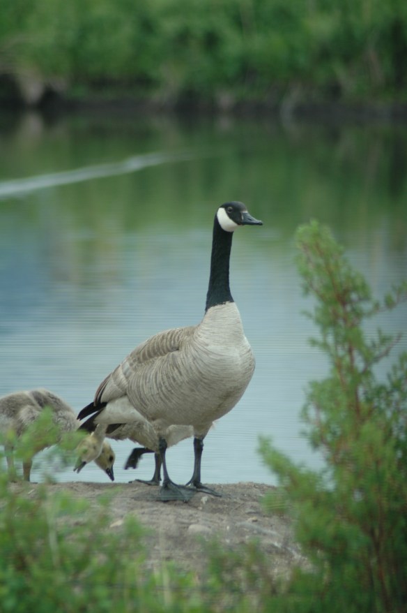 Photo copyright Jim Robertson