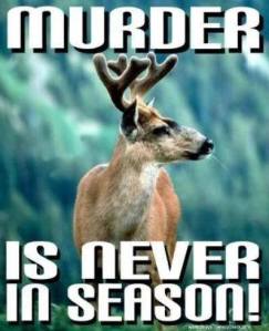 1237908_417630058349401_880655430_n