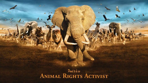 1379284_544626882259670_451791472_n