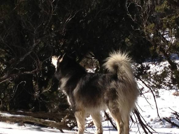 Photo by Oliver Starr