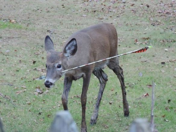 1441225_10151990537383491_1309889797_n