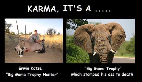 1461901_10202436590933840_548607926_n