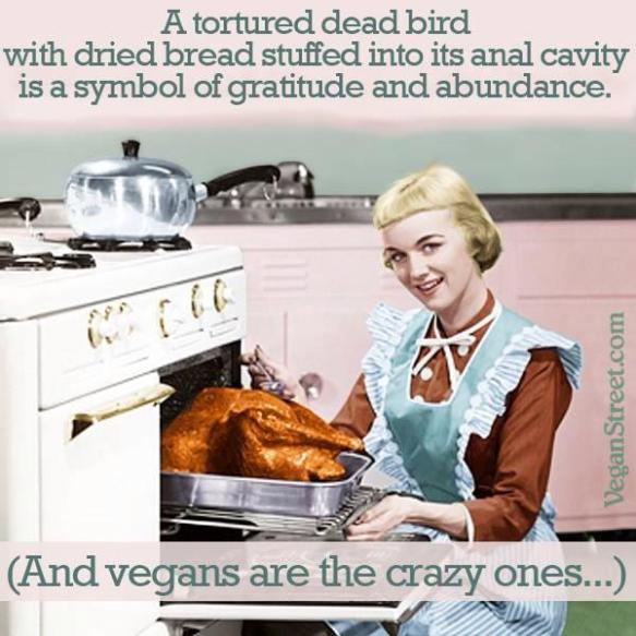 534971_10201890686882596_331357973_n