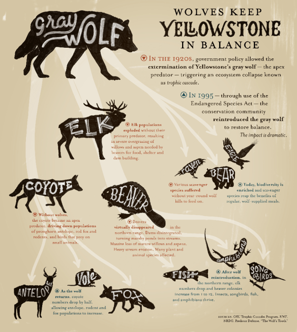 1509918_692944727406356_2017505764_n