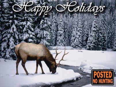 65123_407444042658516_1852579271_n