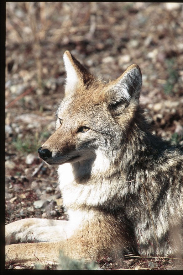 Photo Copyright Jim Robertson