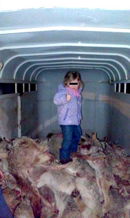 1530473_712789468755204_235715082_n