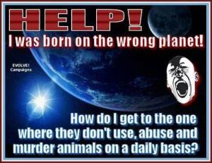 936573_560093210747441_1691694159_n