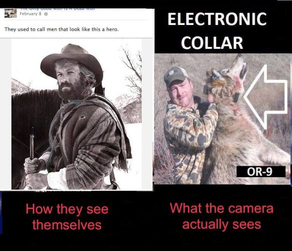 1509686_1453770291507881_1955386015_n