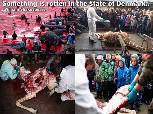 1723934_10201528254343494_758053918_n