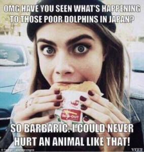 1798784_10152183058444539_1110323426_n