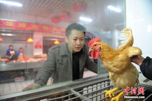 cb603dd2b56041d1824fe9960cacb30c