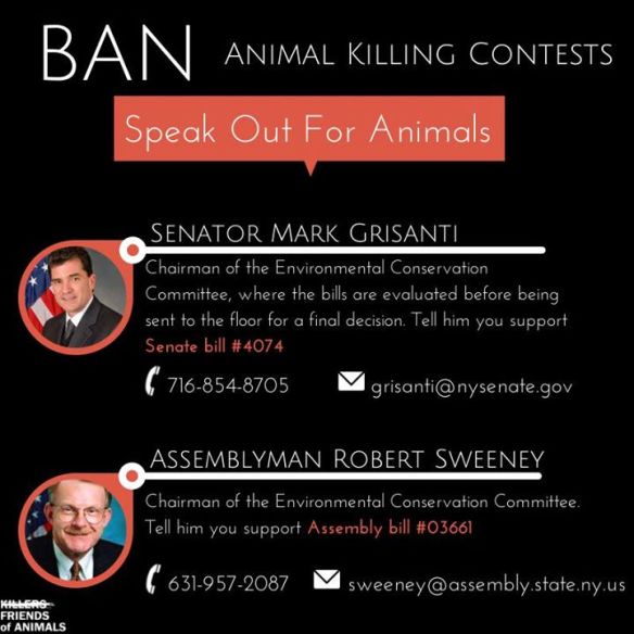 1779967_10153868575775603_1150774074_n