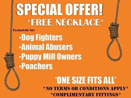 1800308_664612120267816_1839536551_n