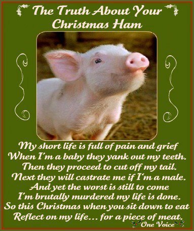 528340_567504966609338_1448023408_n