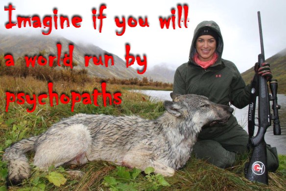 1243722_557571067626216_20552200_o