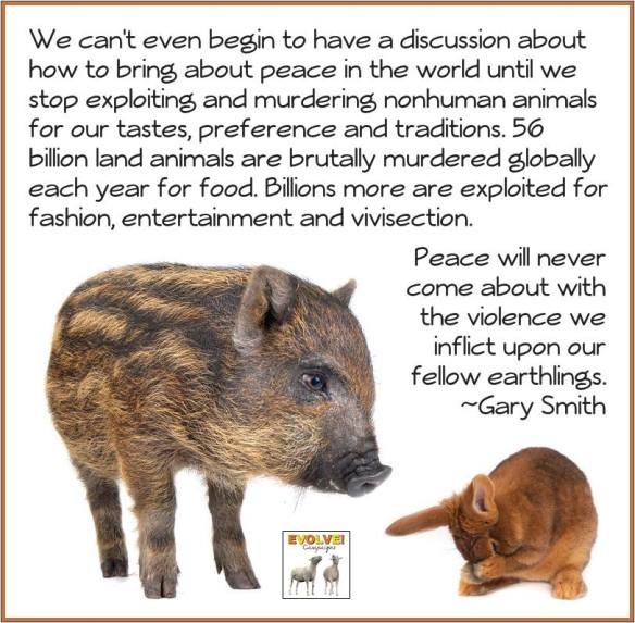 1533963_207994972719317_816840771_n