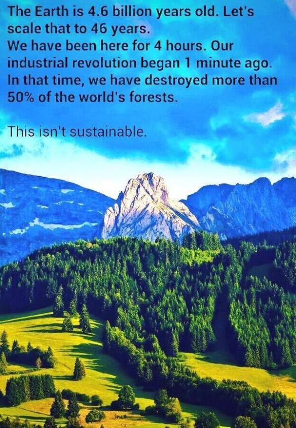 1607092_609698032438409_7868318876058624914_n