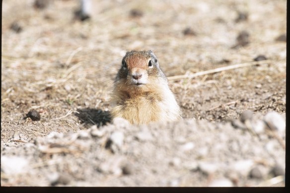 Photo Copyright Jim Robertson