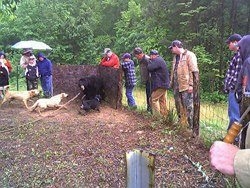 KsVvuVxqZrOKzuz-556x313-noPad