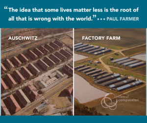 10151358_495324630593354_7512005859880238928_n