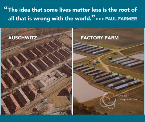 10151358_495324630593354_7512005859880238928_n