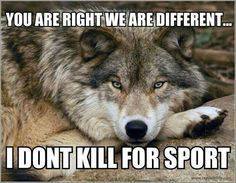 10172782_486237174810952_1604406170771652512_n