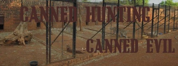 10268528_1507532752803062_4428407597639814930_n