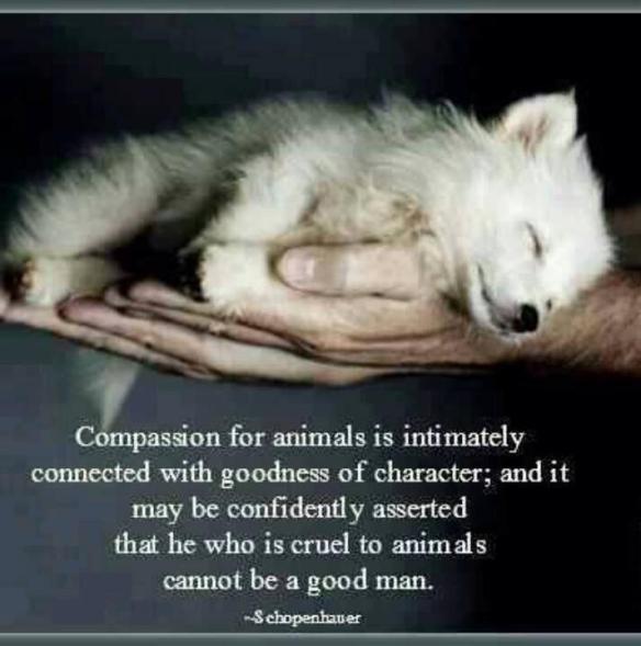 10269523_747703758625378_7743436532076328463_n