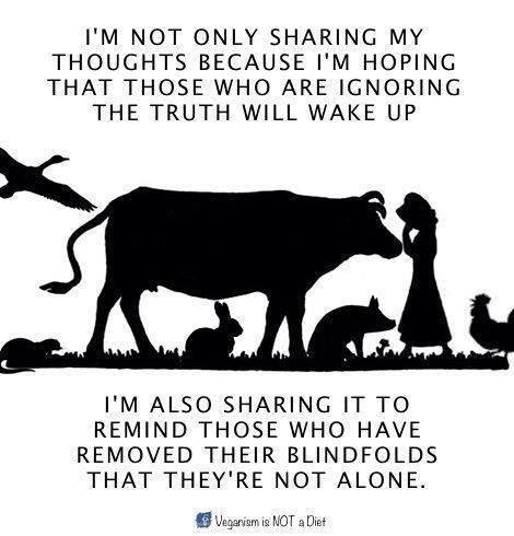 10274101_10152463340732498_8505169800476925977_n