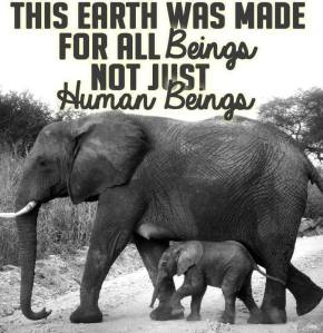 10304338_10204008161985492_2584105410340479966_n