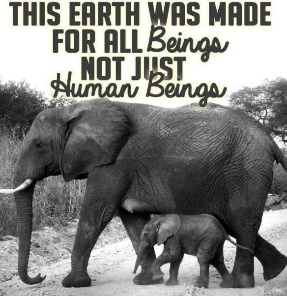 10304338_10204008161985492_2584105410340479966_n