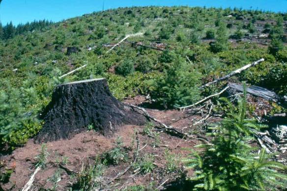 10349141_711297352262704_1510602528179153356_n