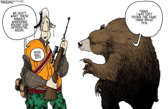 1467382_575553635851437_268599181_n