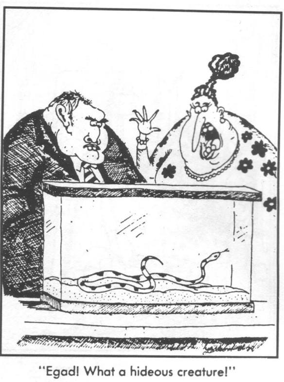 1532152_10152389925128376_1669396415833666282_n