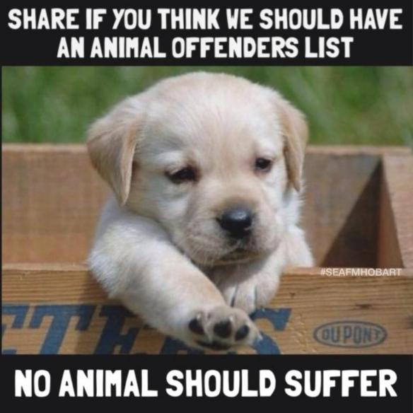 1551677_616784431727744_804019863_n