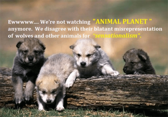Boycott Animal Planet