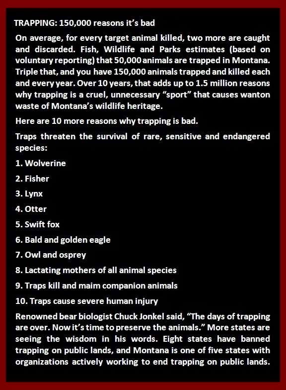 10402598_1523715471184790_831910309658950064_n